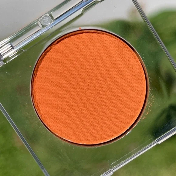 URBAN DECAY COSMETICS 24/7 Eyeshadow In Wild one(Burnt Orange Matte) - Picture 8 of 15